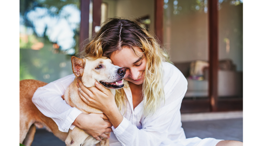 Pets provide invaluable companionship, emotional support, and unconditional love in our lives. 
